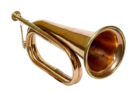 sorte de bugle 3 lettres|beugle 5 lettres.